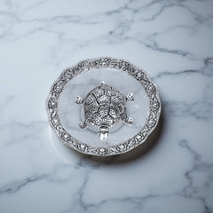 Tortoise with plate
