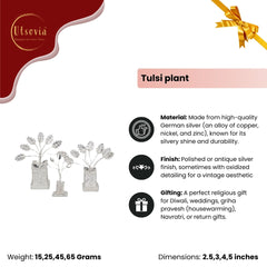 TULSI PLANT (Single Piece)