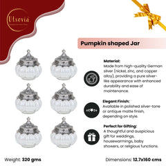 PUMPKIN SHAPED JAR (Single Piece)