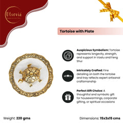 GOLDEN TORTOISE WITH PLATE