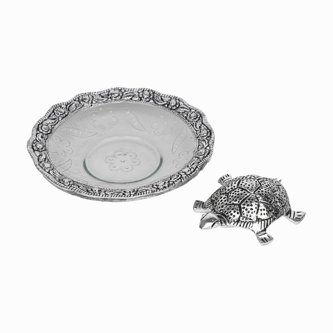 Tortoise with plate