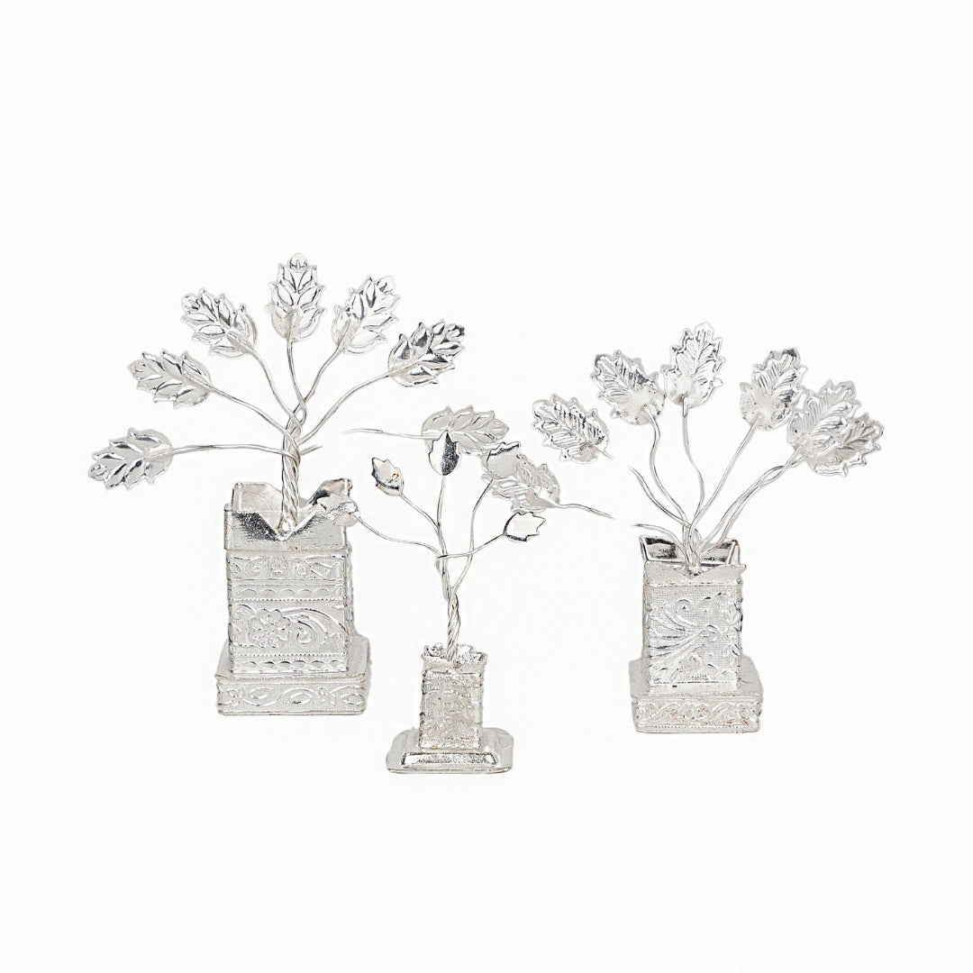 TULSI PLANT (Single Piece)
